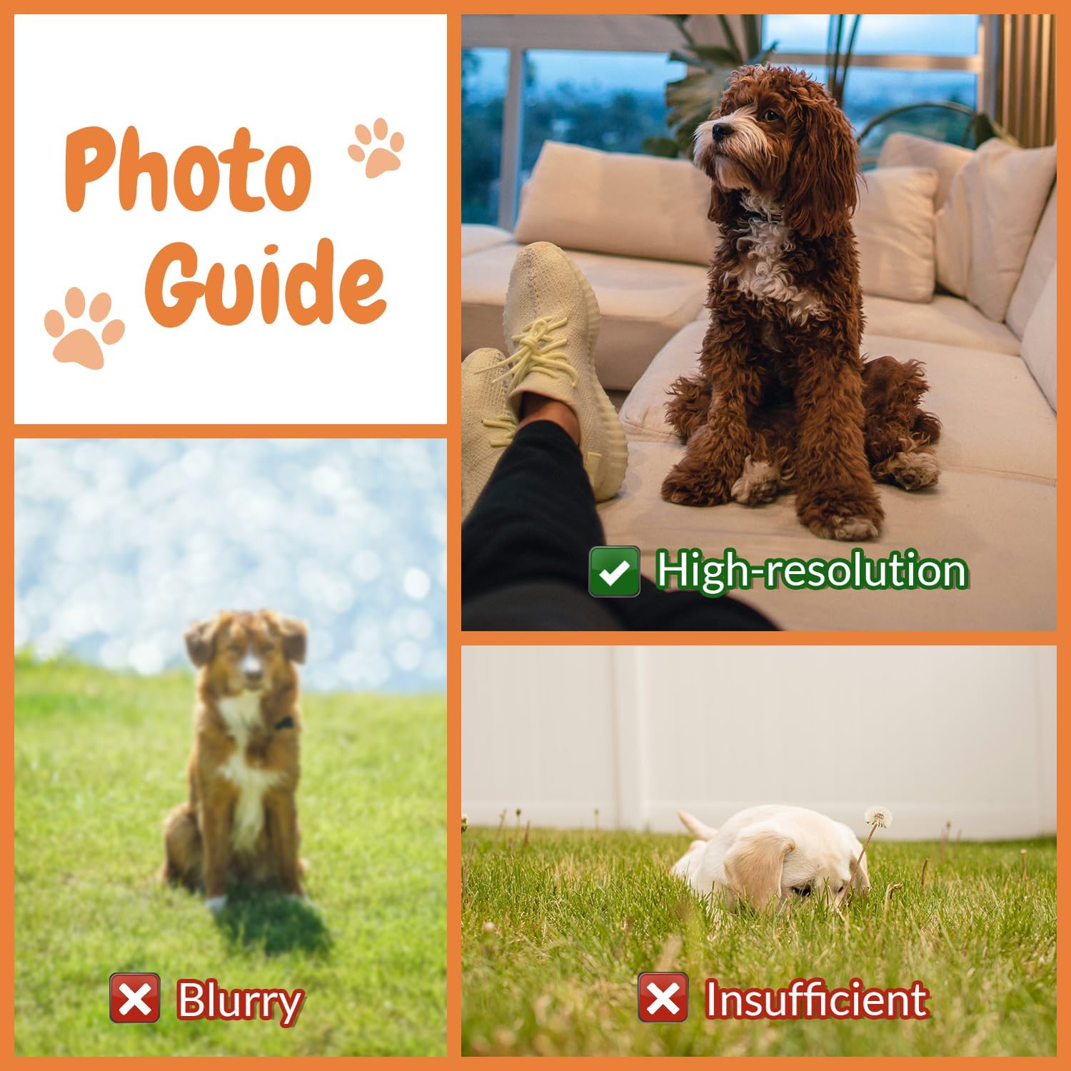 Customised Photo Pet Home Pill - Home Textiles Images recension och pris